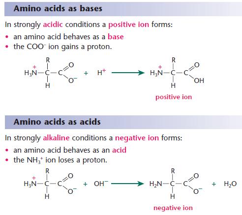 How To Get Amino Acid Naturally How To Get Amino Acid Naturally